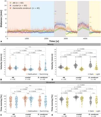 A comparative analysis of Danionella cerebrum and zebrafish (Danio rerio) larval locomotor activity in a light-dark test